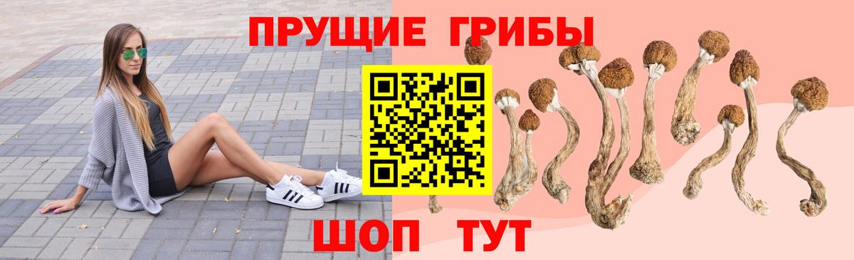 Псилоцибиновые грибы GOLDEN TEACHER Коркино